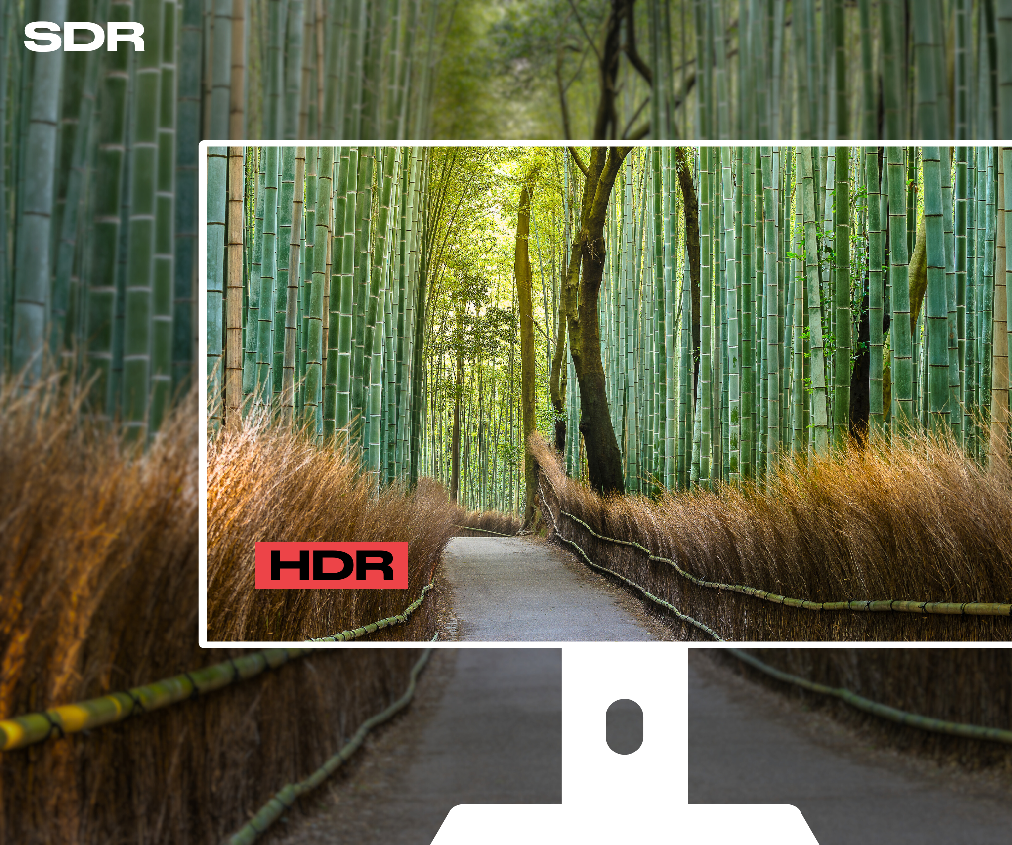 Monitor de PC para oficina | 27" | WQHD