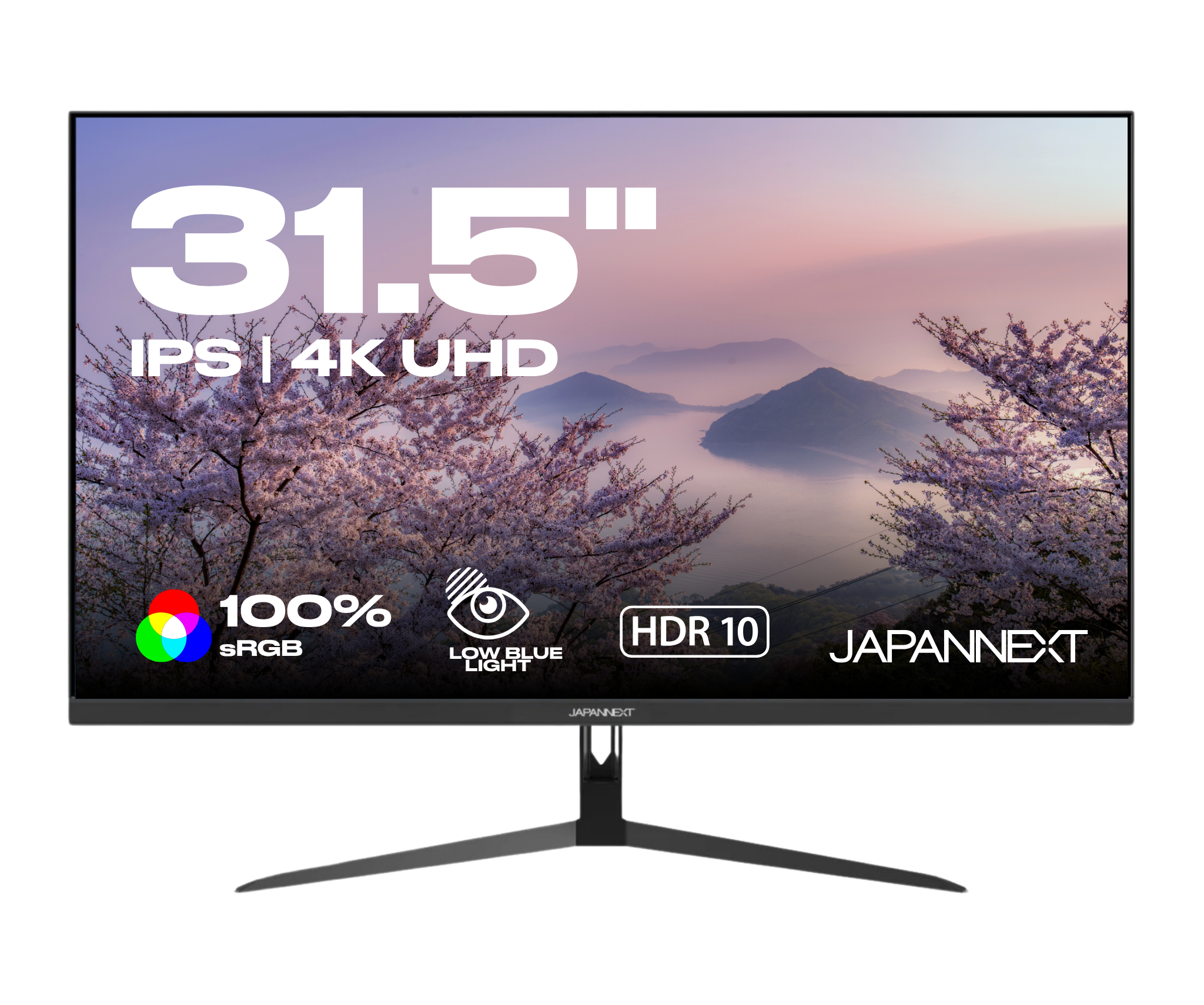 Monitor de PC 4K UHD de 31,5 pulgadas - Japannext – JAPANNEXT
