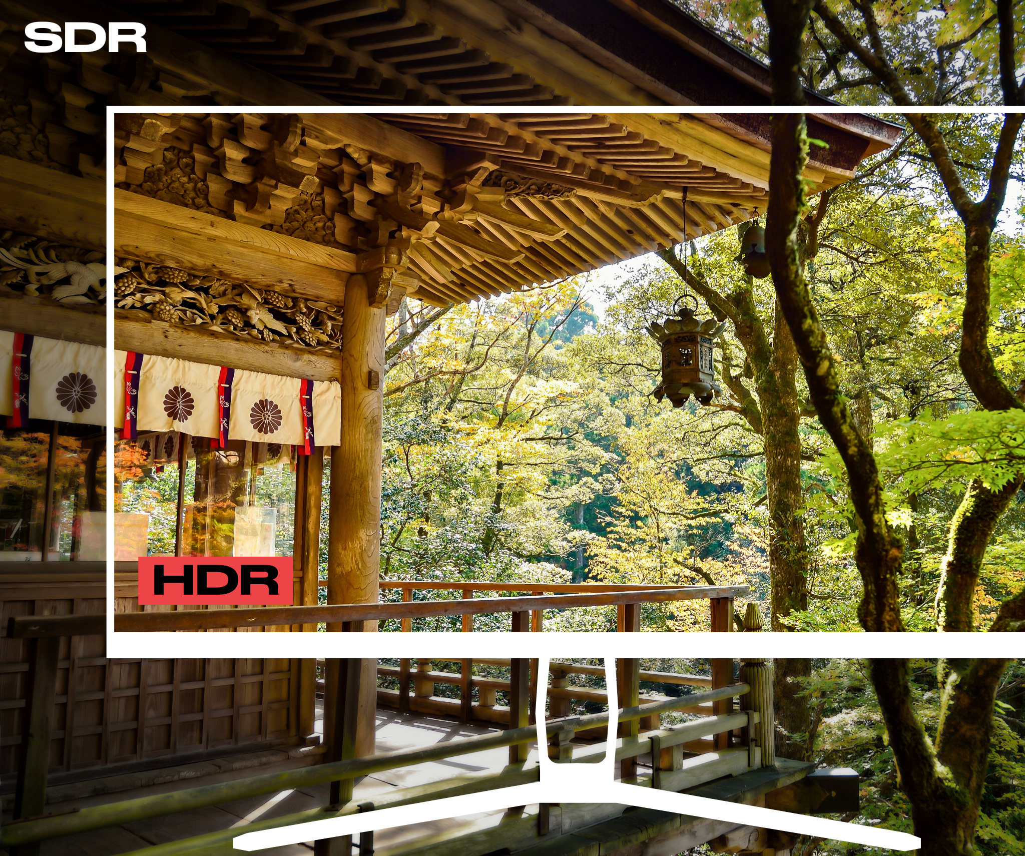 Monitor de PC para oficina | 31,5" | 4K UHD | 60Hz