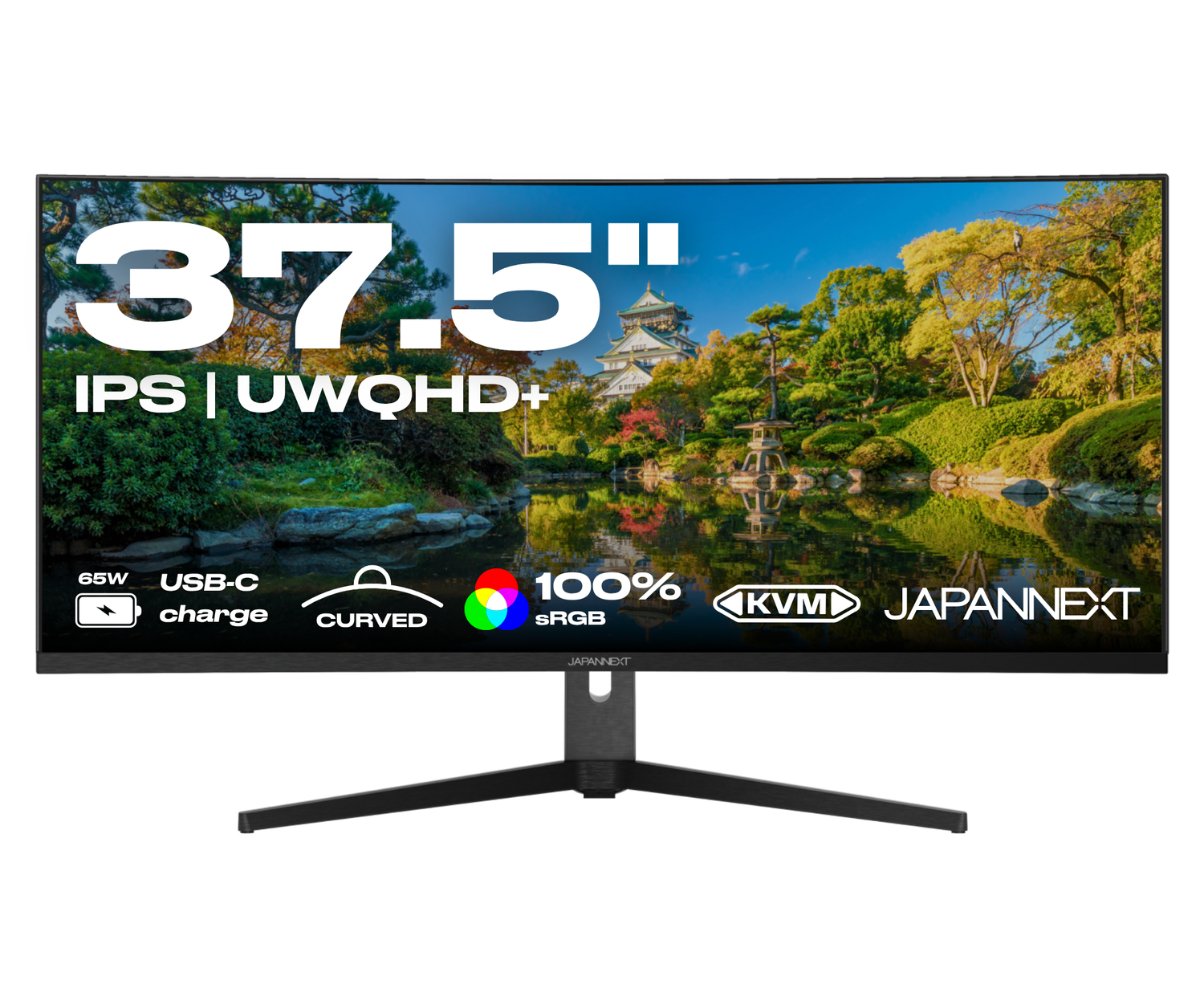 Monitor de PC curvo | 37,5&quot; | UWQHD+ | Panel IPS | USB-C (+ carga de 65W)