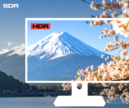 Monitor de oficina | 21,5&quot; | FHD | Táctil | KVM | Entrega de potencia de 65 W | Soporte articulado ergonómico