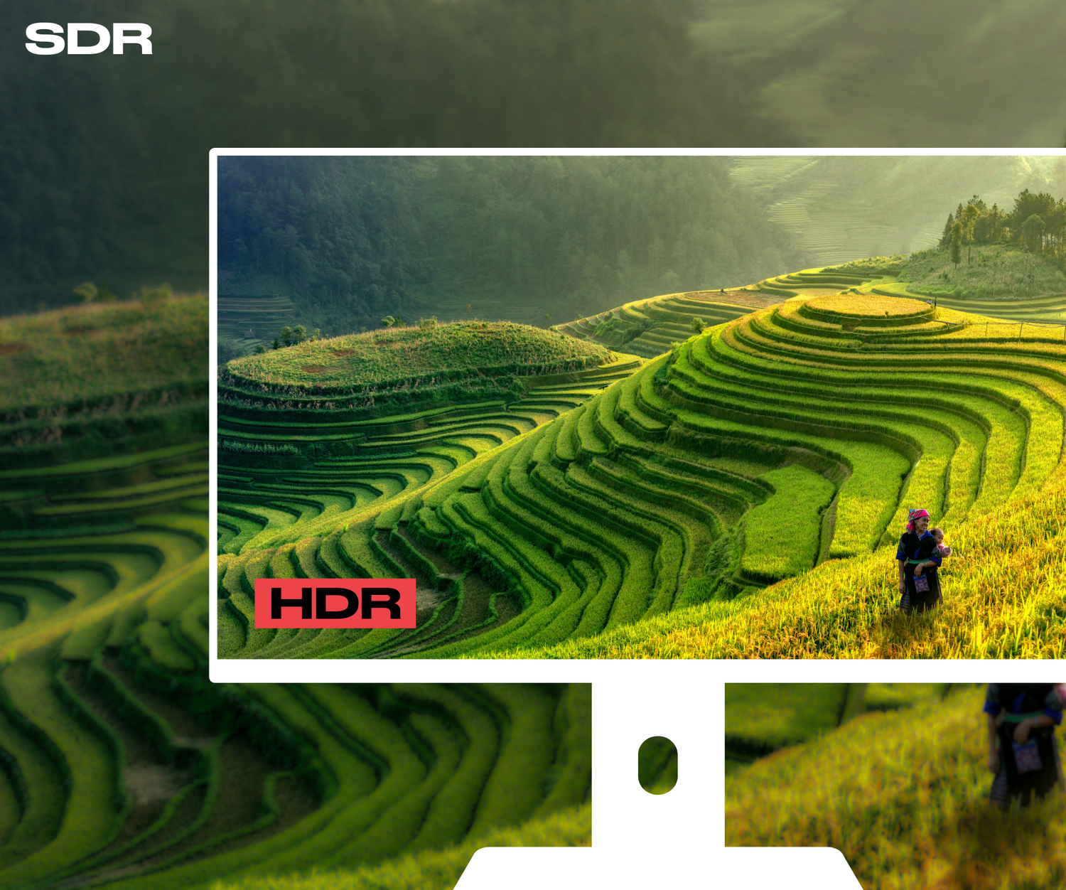 Monitor | 23,8&quot; | 4K UHD