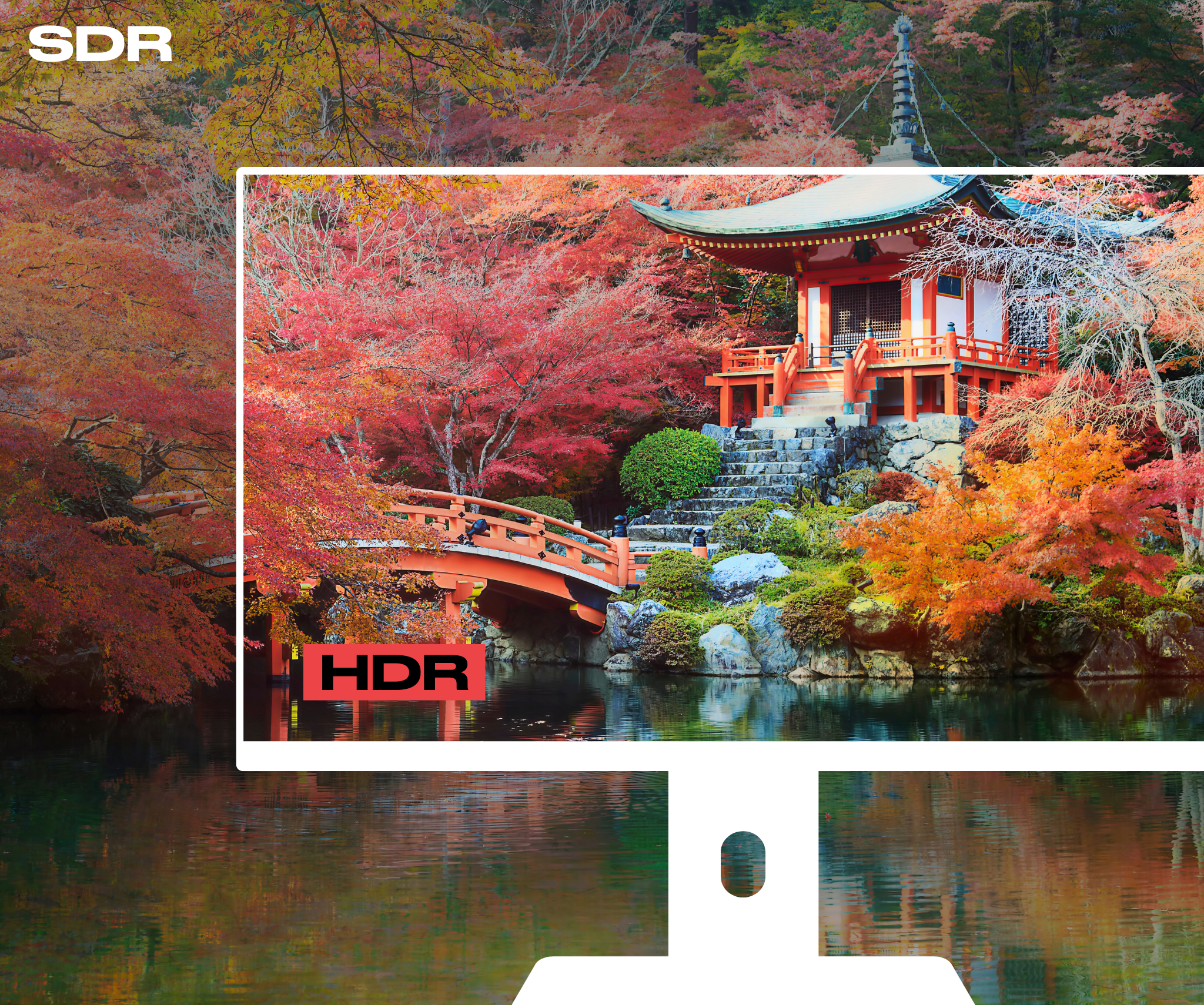 Monitor PC de oficina | 28&quot; | 4K UHD | USB-C (+ carga de 65W)