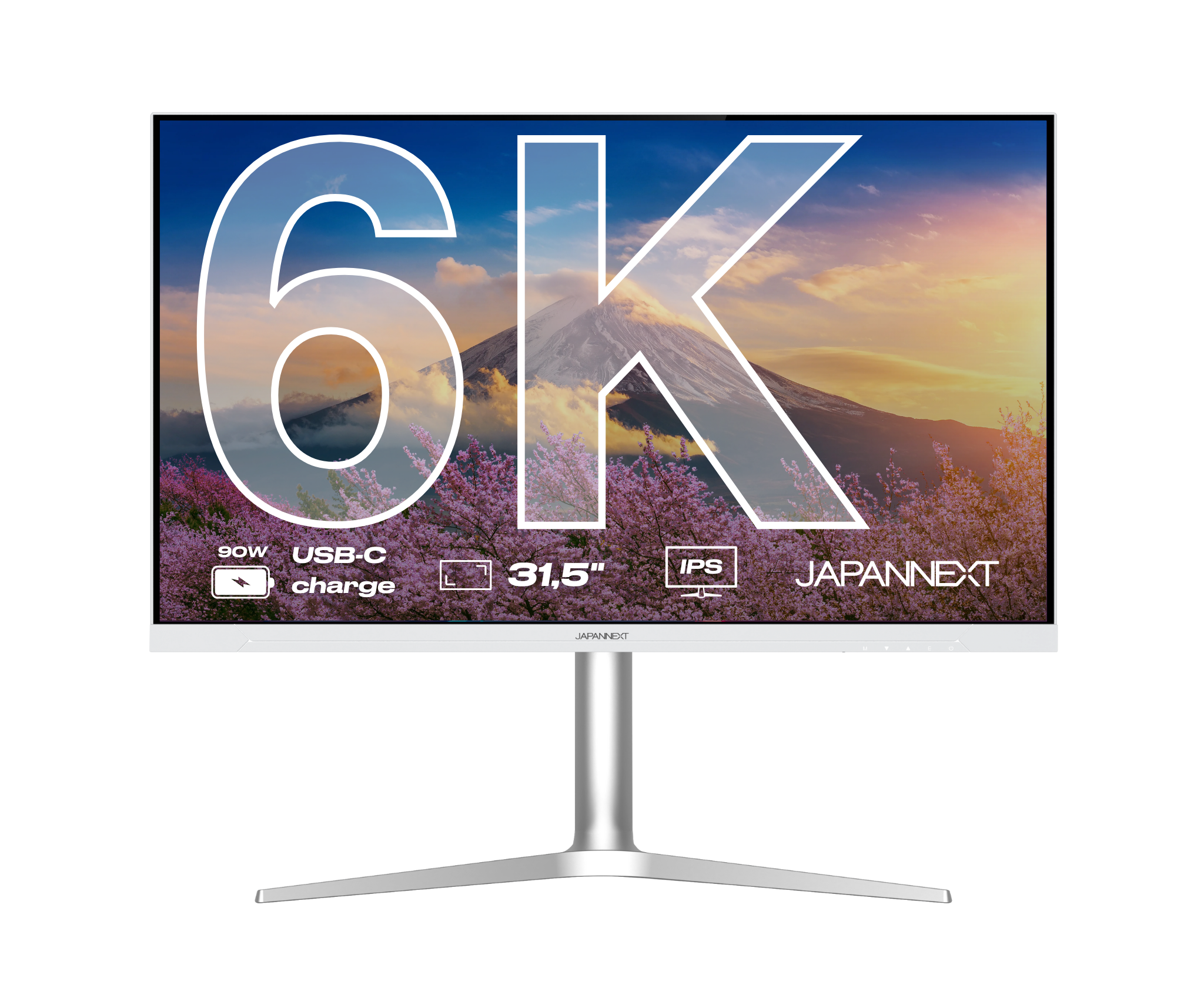 Monitor PC de Oficina | 31,5