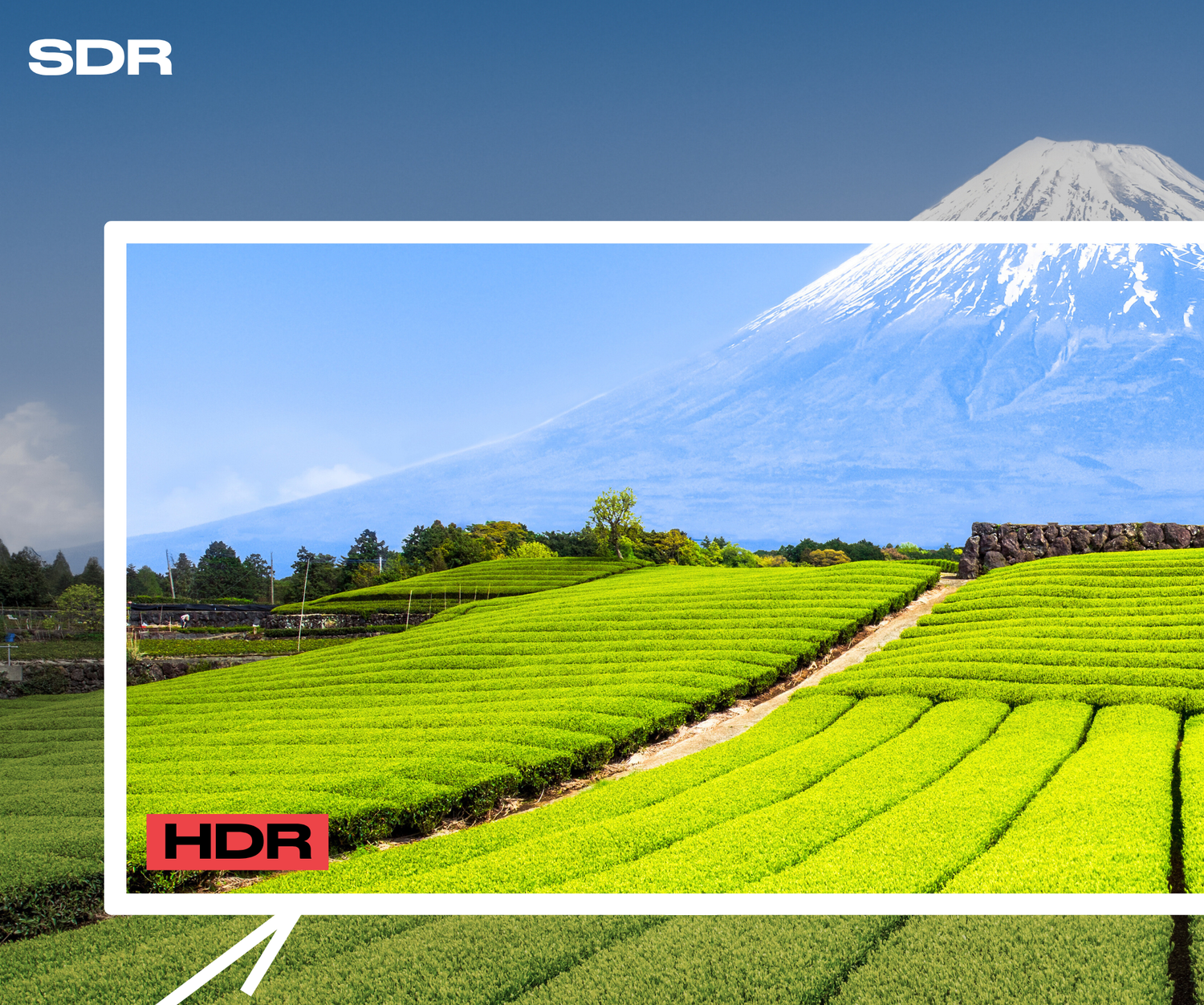 Monitor de gran formato | 55&quot; | IPS | 4K UHD