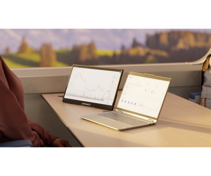 Monitor táctil portátil | 15,6" | IPS | Full HD